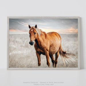 Palomino Horse Wall Art | Western Horse Photography | Debra Gail Fine Art
