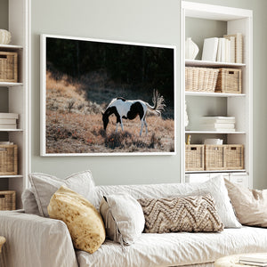American Paint Horse Wall Art | Wyoming Western Fine Art Canvas