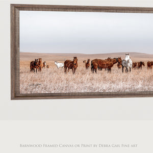Wild Horse Wall Art | Prairie Landscape Panoramic Canvas