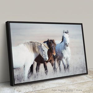 Wild Horses Canvas or Print | Western Fine Art Prairie Landscape Photography