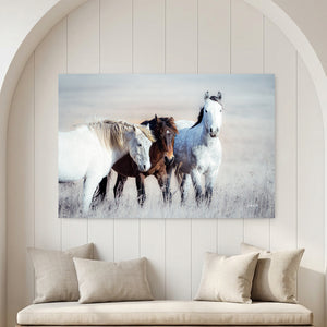 Wild Horses Canvas or Print | Western Fine Art Prairie Landscape Photography