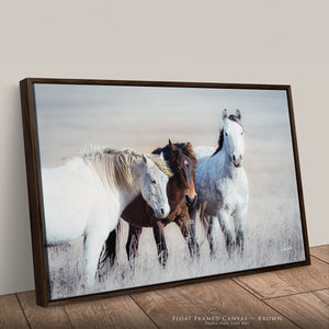 Wild Horses Canvas or Print | Western Fine Art Prairie Landscape Photography