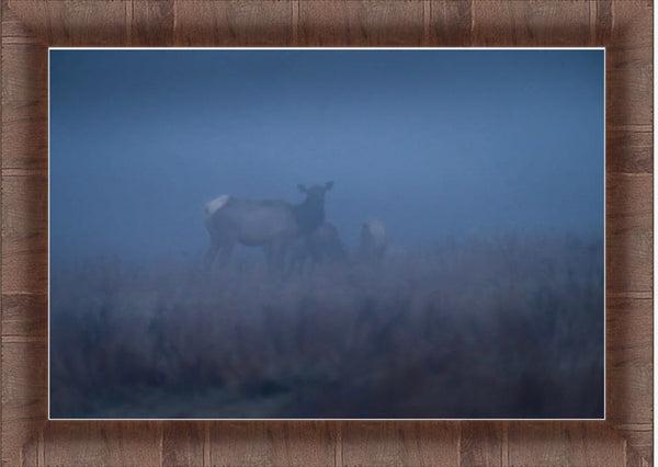 Elk in Fog Cabin Decor