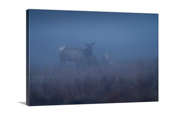 Elk in Fog Cabin Decor