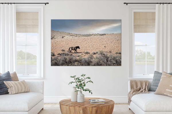 Wild Mustang Horse Photo Print