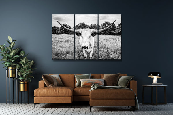 Longhorn Cow Triptych Canvas Art - Black and White Farmhouse Decor