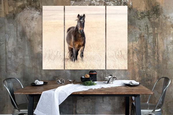 Wild Horse Canvas - 3 Panel Wall Art Set