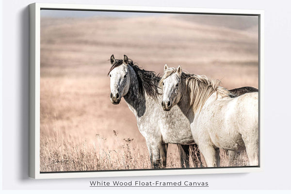 Wild Mustang Horses Wall Art