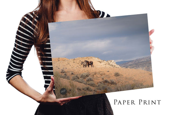 Wild Horses Print or Canvas, Framed Wildlife Print