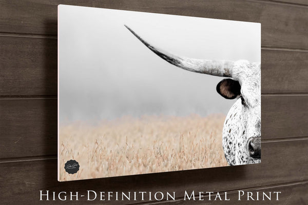 Texas Longhorn Art Close Up - Cattle Photography Print