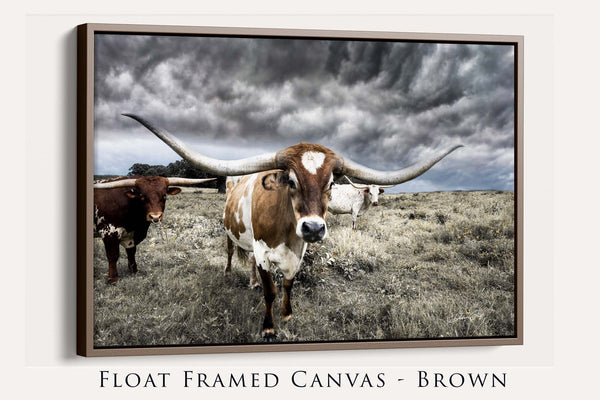 Framed canvas, Large Texas Longhorn Cow Picture Canvas, Barnwood Framed Western Farmstyle Print, Cow Picture Wall Art, Western Home Decor.