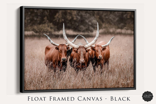 Framed canvas, Watusi Longhorn Canvas Wall Art, Modern Western Decor Print, Extra Large Canvas, Framed Canvas, and Prints, Farmhouse Country Style Picture.