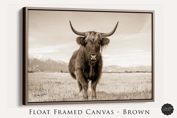 Highland Cattle Cow Wall Art, Scottish Highland Long Haired Cow, Extra Large Cow Canvas Wall Art, Cow Picture Western Decor, Country Farmhouse Style, Shaggy Cow Photo Print