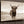 Sepia Highland Cow Canvas Print