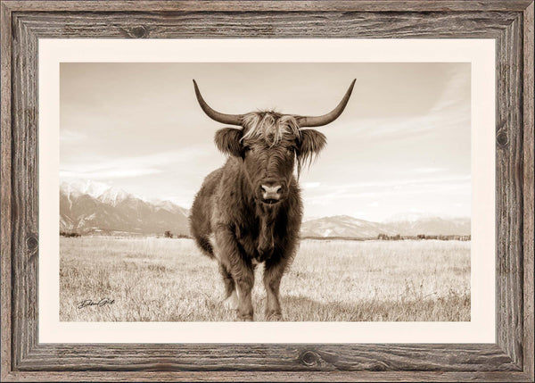 Barnwood framed Highland Cattle Cow Wall Art, Scottish Highland Long Haired Cow, Extra Large Cow Canvas Wall Art, Cow Picture Western Decor, Country Farmhouse Style, Shaggy Cow Photo Print