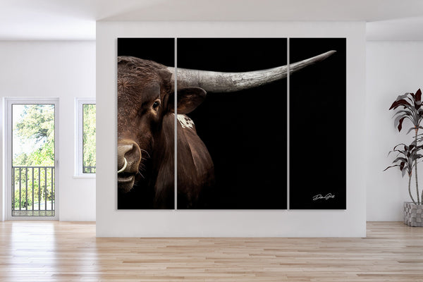 Dramatic Longhorn Bull Triptych Wall Art Extra Large 3 Panel Canvas