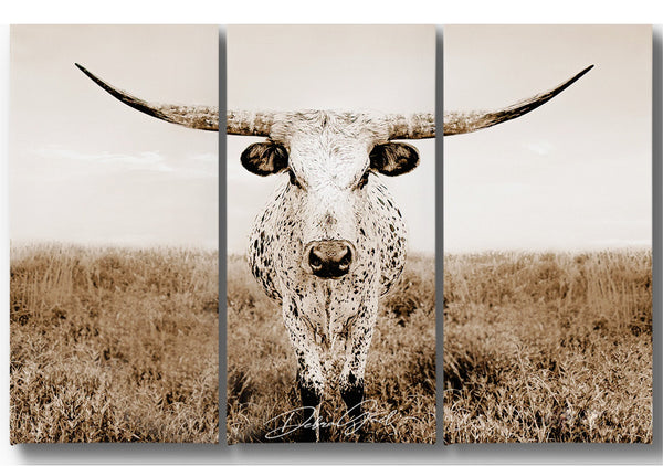 Texas Longhorn 3 Piece XL Canvas Set