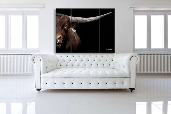 Dramatic Longhorn Bull Triptych Wall Art Extra Large 3 Panel Canvas