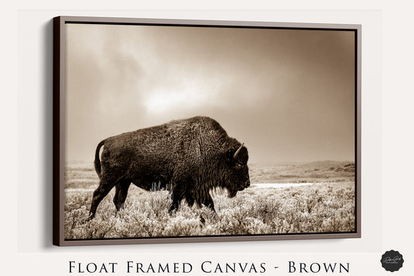 Framed canvas American Buffalo Wall Art - Barnwood Framed, Canvas, Metal Bison Photography Print - Western Decor Bison Wall Art, Vertical Black and White Buffalo Canvas Print, Barnwood Framed Western Decor, XL Minimalist Photo Print, Metal Wall Art
