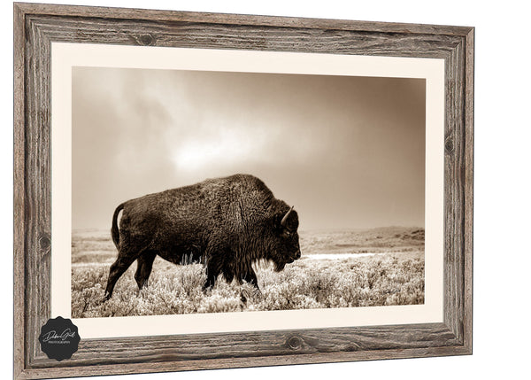 Barnwood framed sepia bison