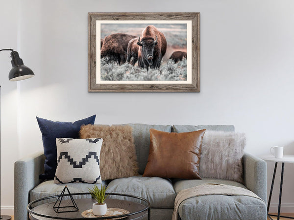 Barnwood Framed Bison Wall Art, American Buffalo Western Decor, Bison Canvas, Large Bison Prairie Photo, Framed or Wrapped Canvas Buffalo Photo Print