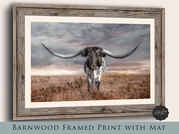 Texas Longhorn Wall Art Cow Canvas