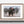 American Buffalo Print, Canvas, Framed Wall Art