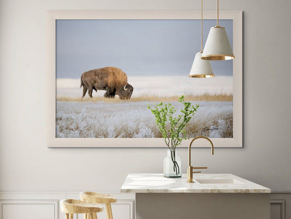 Bison Bull Wall Art, Large American Buffalo