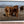Framed canvas Scottish Highland Extra Large Canvas Art, Highland Calf Trio Against Mountain Backdrop, Swedish farmhouse wall art, Highland cow canvas picture, best selling cow idea, Scottish cattle art decor, Highland bull, modern cow art by Debra Gail
