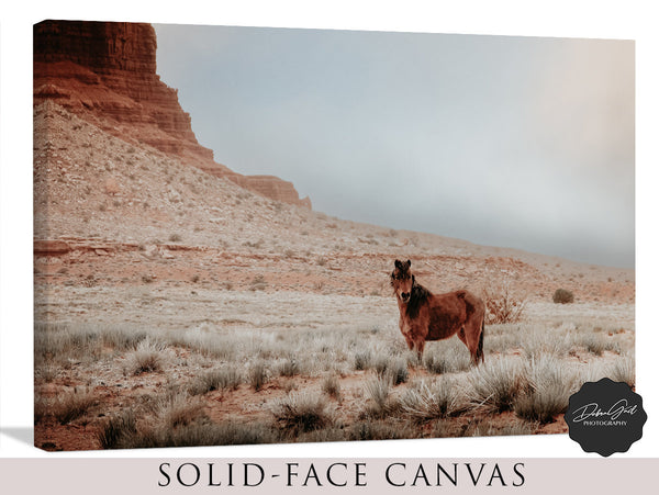 Southwestern decor wild horse wall art, Monument Valley print with horse, desert horse minimalist picture with reclaimed Barnwood frame