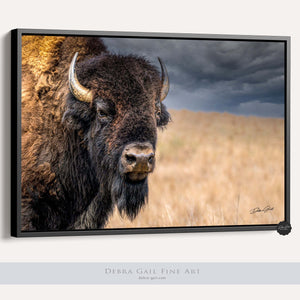 Spiritual Buffalo, Oversized Bison Wall Art, Framed Western Wall Art, Oversize Decor, Rustic Cabin Decor, Lake House. This beautiful image of an American Bison Bull captures the majesty and wildness of this animal in its natural habitat. Debra Gail