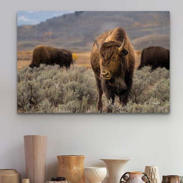 Bison Wall Art Canvas Gift