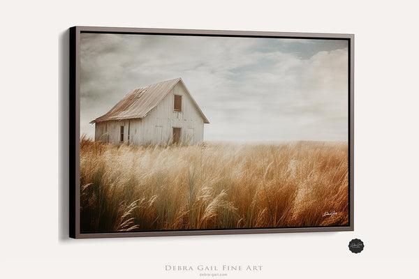 Old Barn Art Print with Golden Prairie Grass, Kansas Barn Photography, Midwest Country Barn Wall Art, Rustic Wall Art Decor Canvas, Abandoned Farmhouse Picture, Barndominium Decor with Barnwood Frame Options.