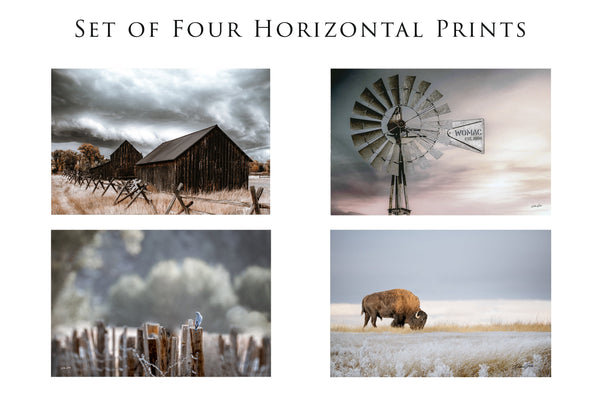 Highly Discounted Farmhouse Decor SET OF 4 PRINTS - From my original photography collection. Farmhouse Kitchen or Living Room Gallery Art Prints and Canvas. Bison, Windmill, Old Barn, Bluebirds Wall Art Set, Blue Color Lovers and Brown Tones