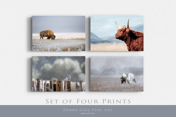 Highly Discounted SET OF 4 PRINTS - From my original photography collection. Farmhouse Kitchen or Living Room Gallery Art Prints and Canvas. Bison, Highland Cow, Horses, Bluebirds, Wall Art Set, Blue Color Lovers and Brown Tones