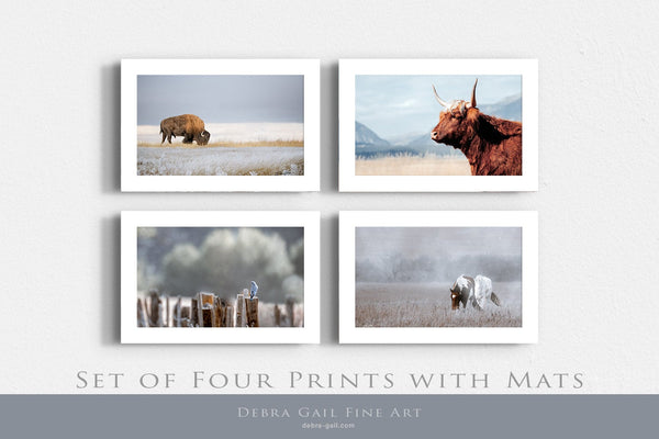 Highly Discounted SET OF 4 PRINTS - From my original photography collection. Farmhouse Kitchen or Living Room Gallery Art Prints and Canvas. Bison, Highland Cow, Horses, Bluebirds, Wall Art Set, Blue Color Lovers and Brown Tones