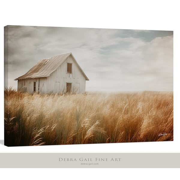 Old Barn Art Print with Golden Prairie Grass, Kansas Barn Photography, Midwest Country Barn Wall Art, Rustic Wall Art Decor Canvas, Abandoned Farmhouse Picture, Barndominium Decor with Barnwood Frame Options.