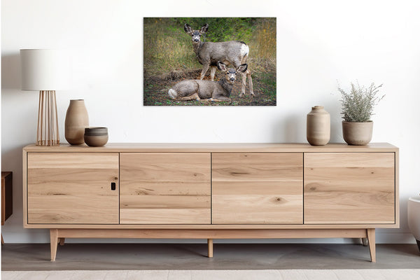 Rustic Deer Canvas Wall art Print, Extra Large Farmhouse Wall Art, Animal Art Rustic Wall Decor, Mule Deer Original Photography by Debra Gail, Nursery or Children's Framed Decor.