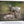Float framed canvas, Rustic Deer Canvas Wall art Print, Extra Large Farmhouse Wall Art, Animal Art Rustic Wall Decor, Mule Deer Original Photography by Debra Gail, Nursery or Children's Framed Decor.