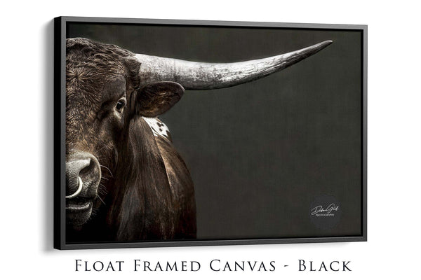 Large Longhorn Cow Canvas Picture
