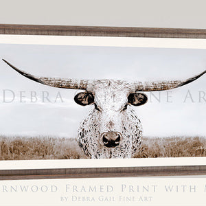 Longhorn Cow Print Picture, Simple Western Decor Wall Art by Debra Gail Fine Art, beautiful Neutral Farmhouse Style Tones. Texas Longhorns, extra-large barnwood framed print