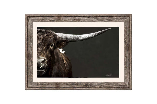 Oversized Longhorn Bull Print or Canvas