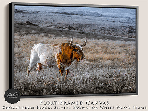 Large western wall art decor, Texas Longhorn canvas wrap, Barnwood framed print, Longhorn lover gift.
