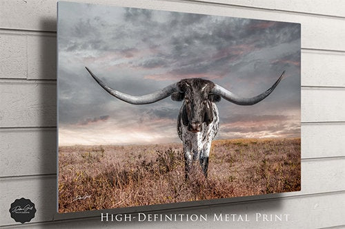 Texas Longhorn Wall Art Cow Canvas