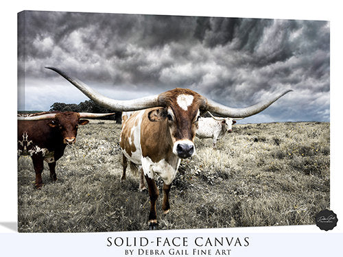 Large Texas Longhorn Cow Picture Canvas, Barnwood Framed Western Farmstyle Print, Cow Picture Wall Art, Western Home Decor.