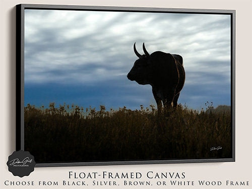 Silhouette of a Bull at Dusk - Canvas Print Wall Art