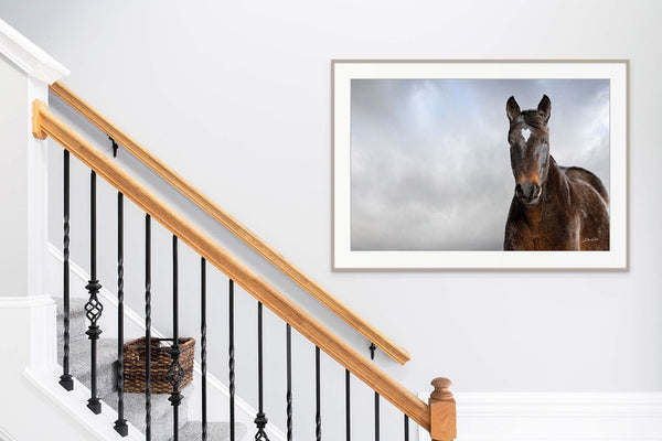 Wild Horse Photography Wall Art