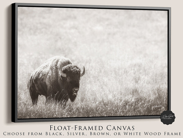 BISON PRINT IN NEUTRAL TONES - FARMHOUSE ART PRINT OR CANVAS