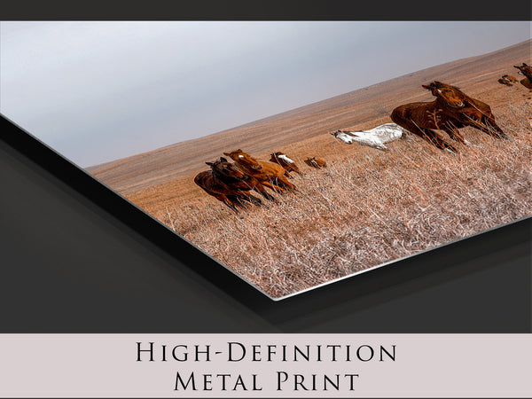 Beautiful Wild Horses Panoramic Wall Art Photo Canvas or Print