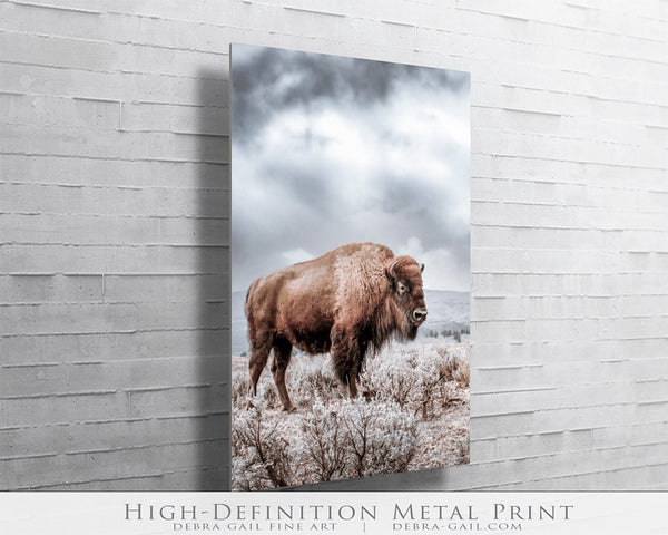 SPIRIT OF THE WILD WEST - BISON WESTERN DECOR